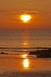 from the Suns Rising 50 of 50