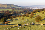 Mist around White Nancy (3)
