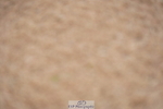 240317A-161348-07913