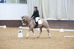 SBM_000934