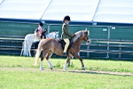 SBM_19846
