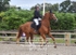 BPP_8772