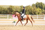SBM_016905