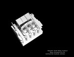 Wood Model