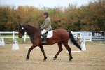 SBM_000385