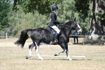 WJ7_0888