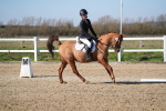 SBM_001988