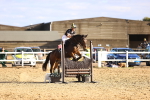 SBM_003540