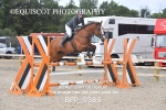 BPP_9385