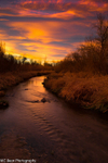 Colorful Colorado