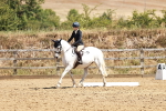 SBM_001790