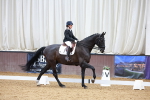 SBM_003503