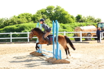 SBM_006654