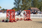SBM_34353