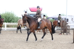 SBM_01506