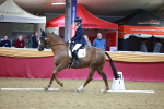 SBM_06688
