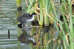 20110611-IMG_5557