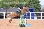 BPP_6029