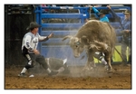 Rodeo Clown