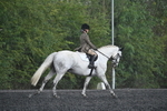 WJ7_8111