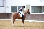 SBM_009017