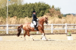 SBM_019254
