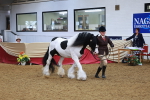 SBM_09794