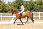 SBM_012353