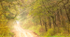Sand Road--Norfolk County