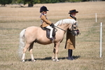 WJ6_9135