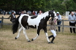 WJ6_8126