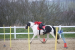 SBM_003822