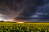 z2077 Evening Storm over Ashey