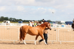 SBM_10959