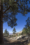Eastern Sierras-34