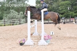 BPP_9249