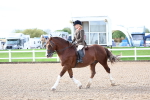 SBM_00343