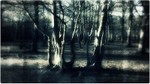 Haunted