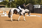 SBM_05595