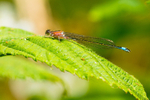 20140621-3K8A2517