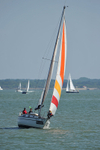140621 GBR455 SADDLE TRAMP   ME4_6460 378