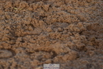 231104A-145748-02233
