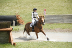BVHT 140517  IXC -274