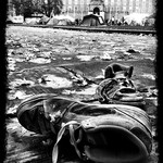 Trainers