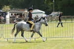 SBM_05395