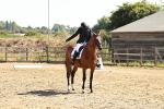 SBM_000771