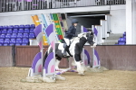 SBM_000136