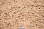 230628A-113046-00272