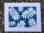'Mountain Ash' One of a kind original cyanotype