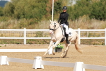 SBM_000320